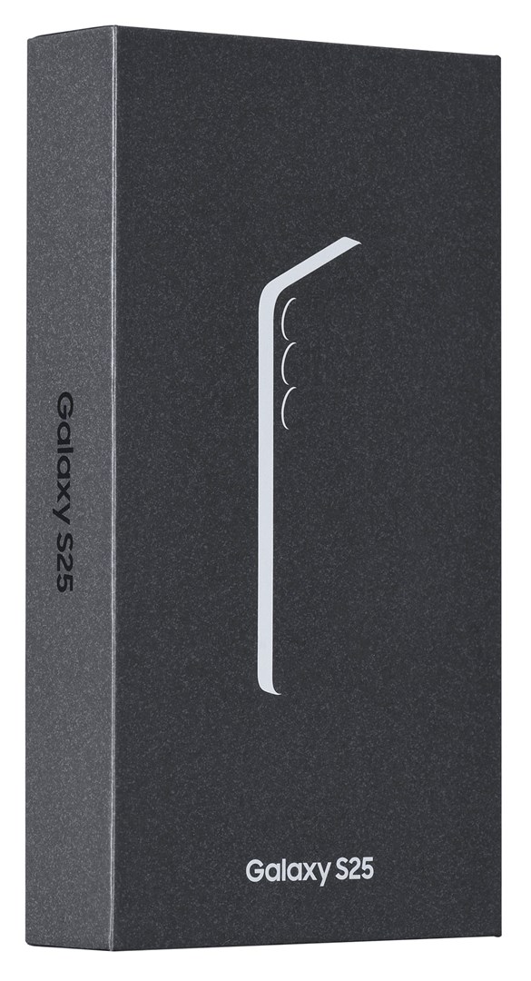 Samsung Galaxy S25 (S931) 5G DS 12/256GB Silver