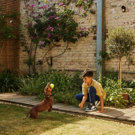 Yale Zewnętrzny czujnik ruchu - Przyjazny zwierzętom